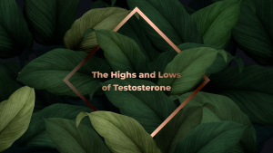 Read more about the article Supporting women through perimenopause, menopause, and post-menopausal phase