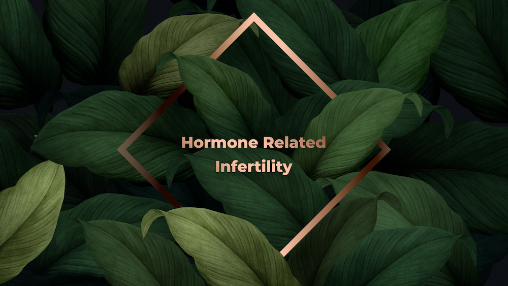 The liver an amazing organ