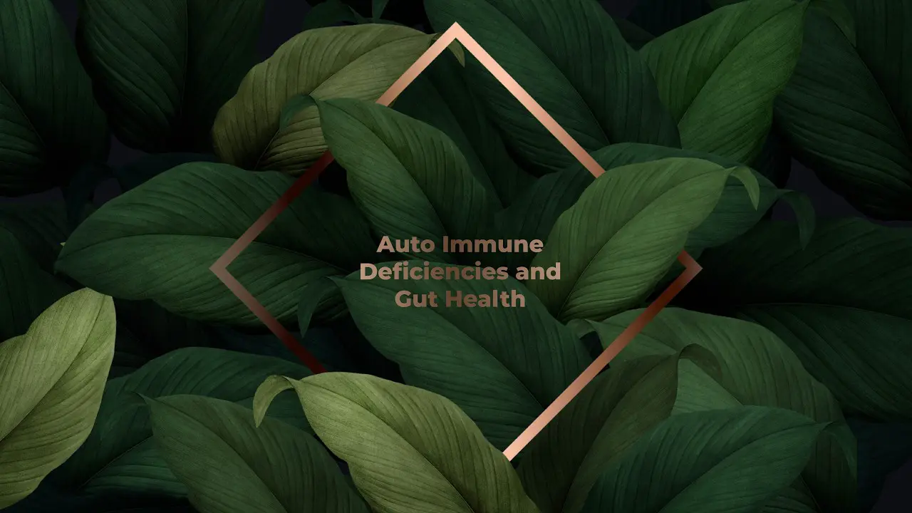 Auto Immune Deficiencies and Gut Health