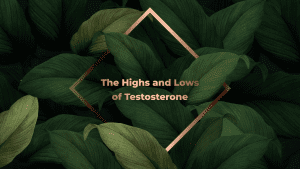 Read more about the article The Highs and Lows of Testosterone