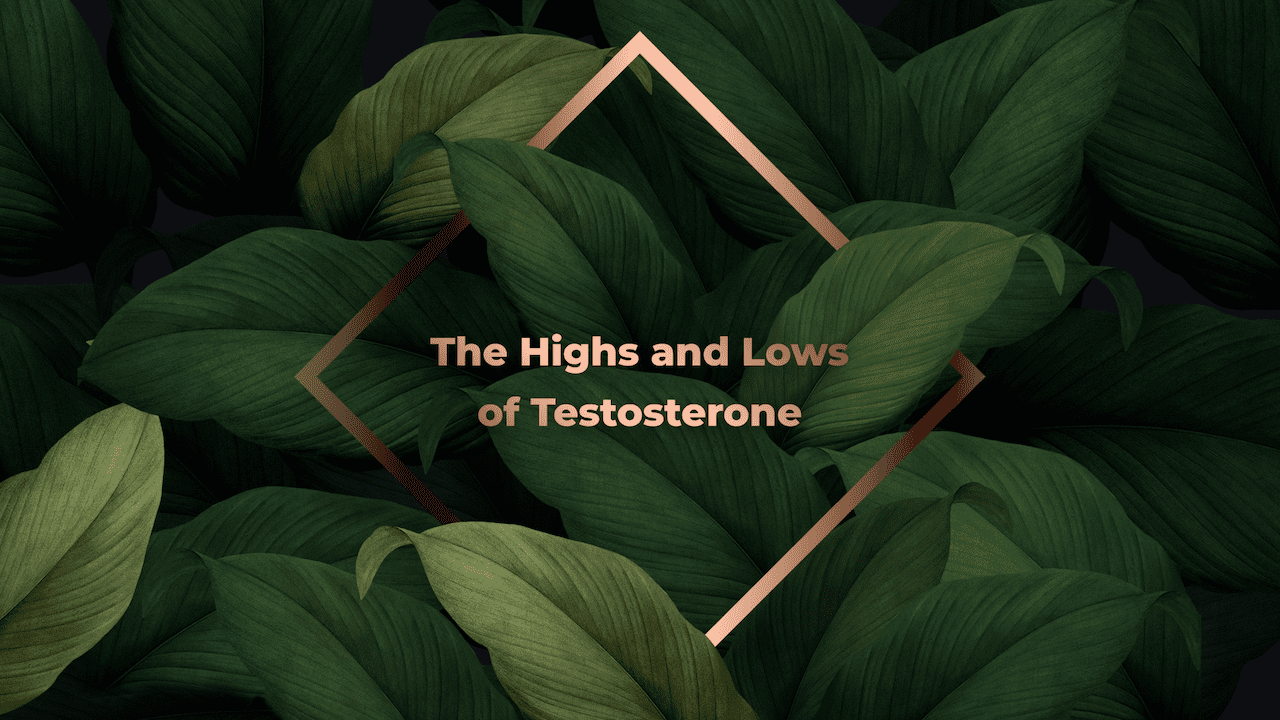 Supporting women through perimenopause, menopause, and post-menopausal phase