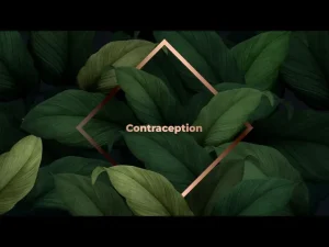 Read more about the article Contraception