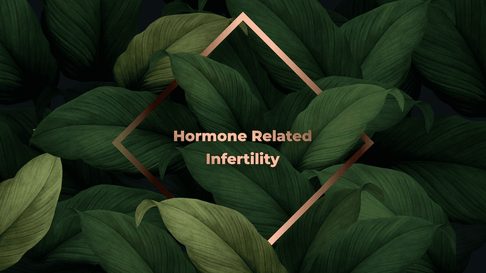 The liver an amazing organ