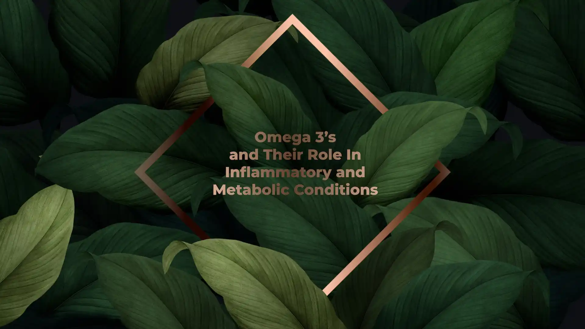 Omega 3’s And Their Role In Inflammatory And Metabolic Conditions